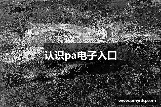 认识pa电子入口